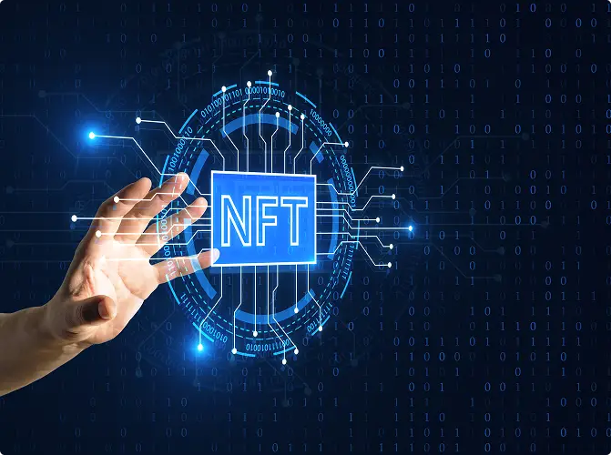 Design and Development