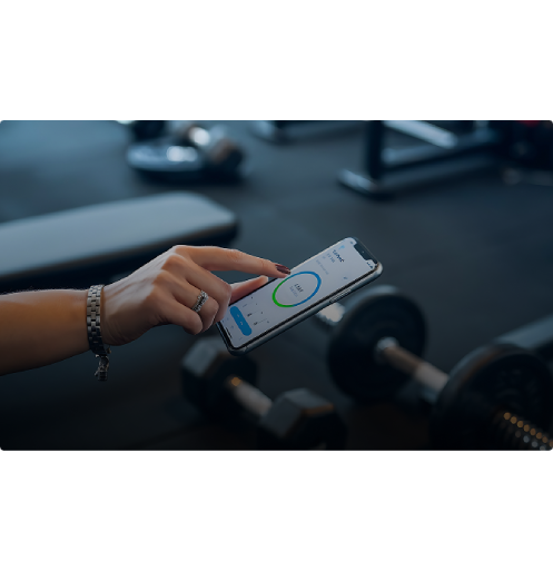 Design and Development